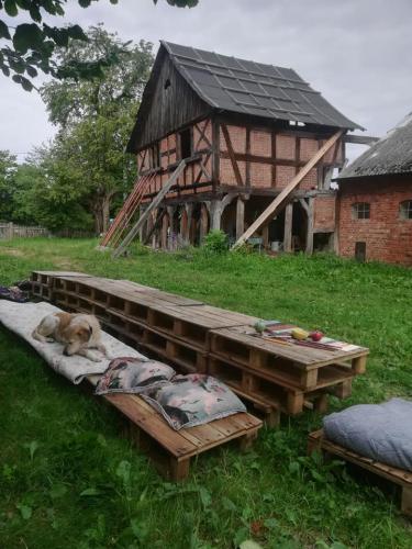 226039321_3951099505016315_3671431531719703978_n