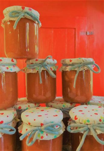 244419010_1170051083524934_9069349168344257682_n