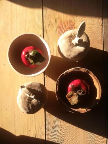 244437552_1170051290191580_241857463155269340_n