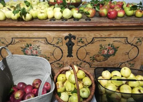 20211005 Dzień otwarty sadu