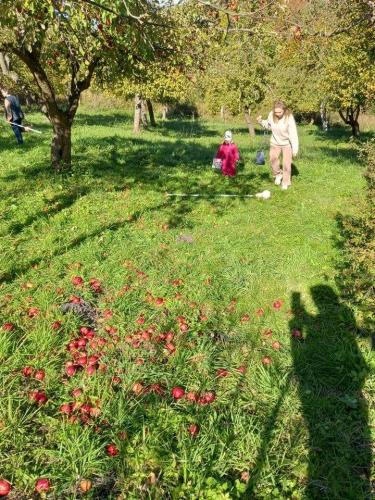 244835294_1174388846424491_1892383568259497707_n