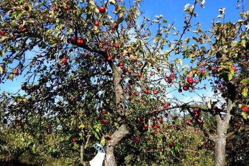 244839661_1174382206425155_7517402371764634561_n