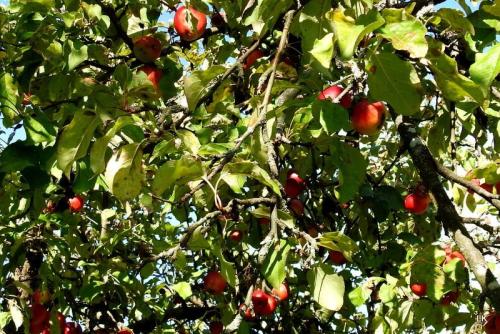 245193300_1174382269758482_3268039979191266349_n