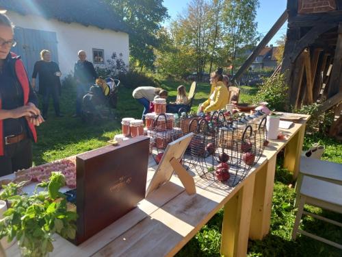 245223976_1174388646424511_417054711881936203_n