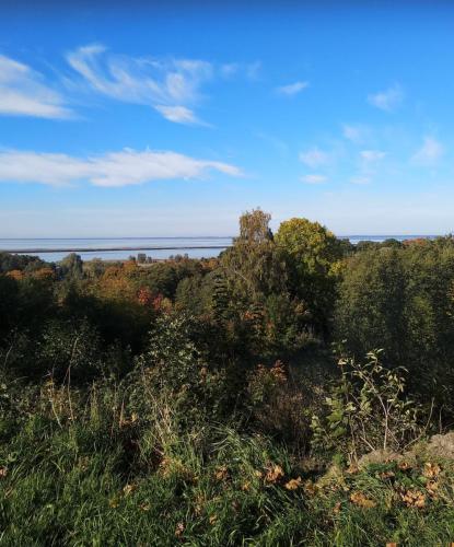 245234827_1174381986425177_2437288853794523786_n