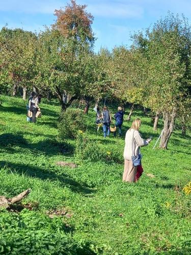 245307992_1174388543091188_3576963199282870310_n