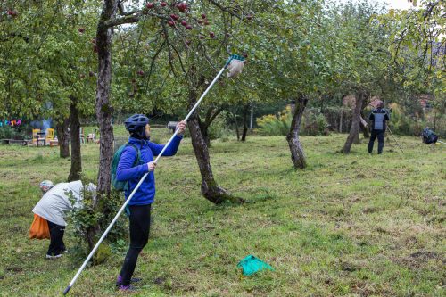 20251005 jabłkobranie